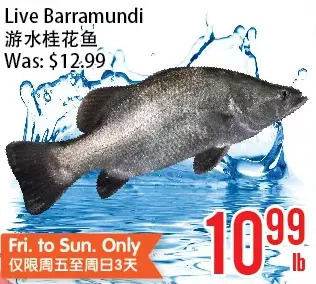 Bestco Food Mart Live barramundi offer