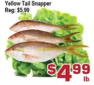 Top Food Supermarket Yellow tail snapper offer