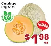 Cantaloupe