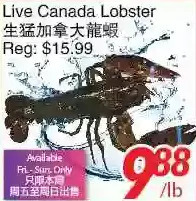 Foody World Live canada lobster offer