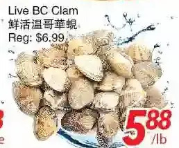 Foody World Live bc clam offer