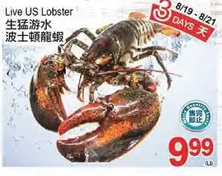 T&T Supermarket Live us lobster offer