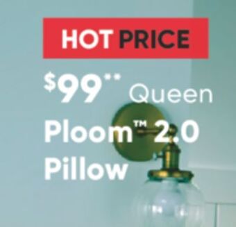 Sleep Country Ploom 2.0 pillow offer