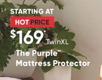 Sleep Country The purple mattress protector offer