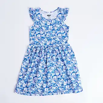 Giant Tiger Monkey bars toddler girl's day dreamer cap sleeve dress offer