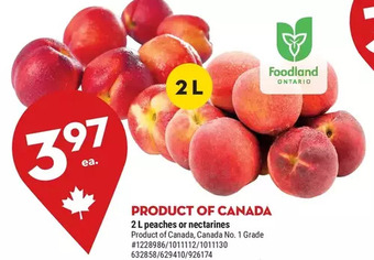 Giant Tiger 2 l peaches offer