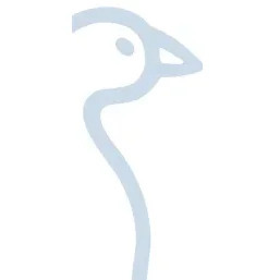 JYSK Lotus throw offer