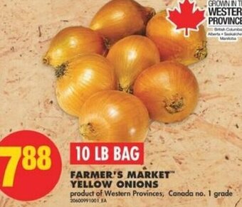 No Frills Farmer's Market Yellow Onions offer