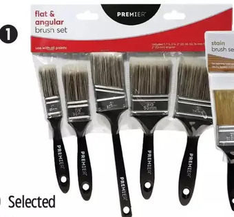 Canadian Tire Premier mixed paint brushes offer