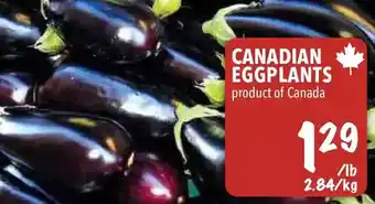 Farm Boy Canadian eggplants offer