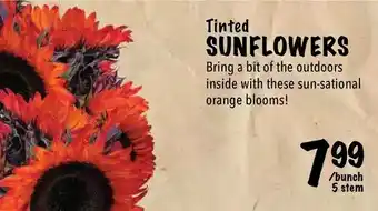 Farm Boy Tinted sunflowers offer