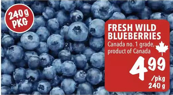 Farm Boy Fresh wild blueberries offer