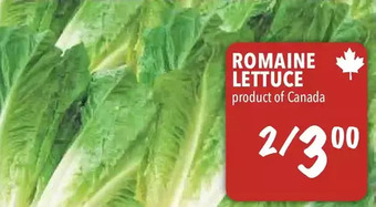 Farm Boy Romaine lettuce offer