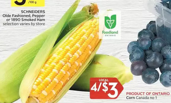 Foodland Corn offer