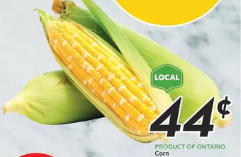 Sobeys Urban Fresh Corn offer