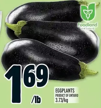 Metro Eggplants offer