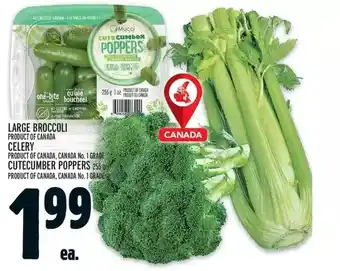 Metro Large broccoli | celery | cutecumber poppers offer