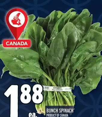Metro Bunch spinach offer