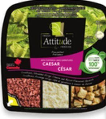 Walmart Fresh attitude salad kits offer