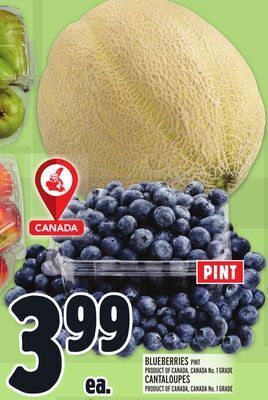 Metro Blueberries offer
