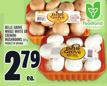 Metro Belle grove whole white or cremini mushrooms offer