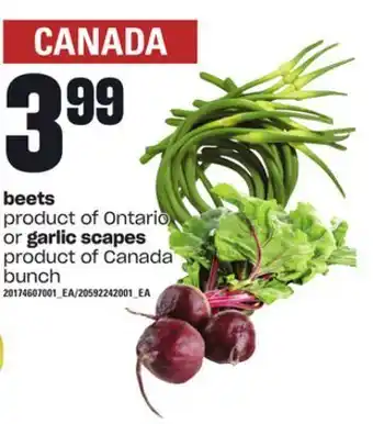 Loblaws Beets or garlic scapes, bunch offer