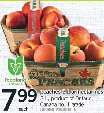 Fortinos Peaches, 3 l or nectarines, 2 l offer