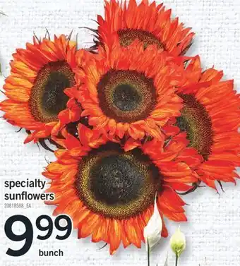 Fortinos Specialty sunflowers, bunch offer