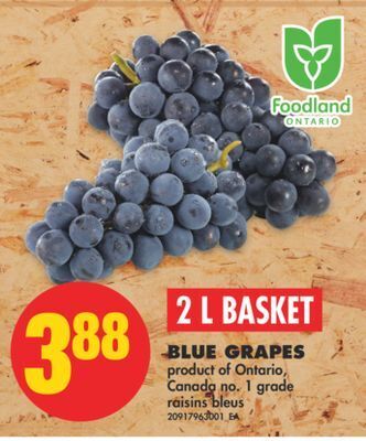 No Frills Blue grapes, 2 l basket offer