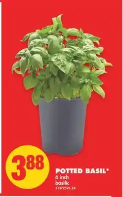 No Frills Potted basil*, 6inch offer
