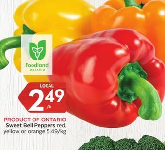 Foodland Sweet bell peppers red, yellow or orange offer