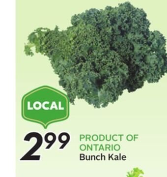 Sobeys Bunch kale offer