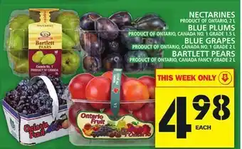 Food Basics Nectarines or blue plums or blue grapes or bartlett pears offer