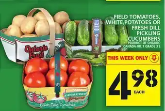 Food Basics Field tomatoes, white potatoes or fresh dill pickling cucumbers offer