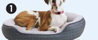 Canadian Tire Petco paws up! 46 x 38" pet bed offer