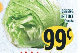 Marché Adonis Iceberg lettuce offer
