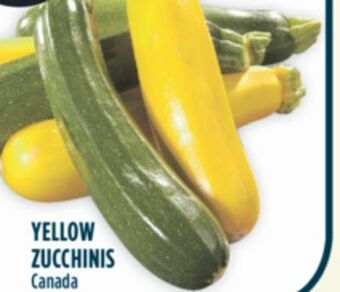 Marché Adonis Yellow zucchinis offer