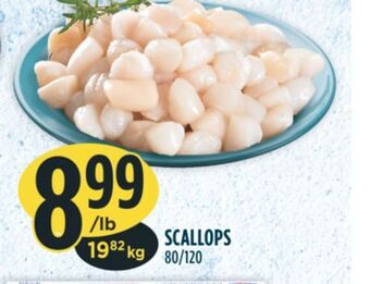 Marché Adonis Scallops offer