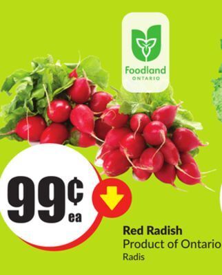Chalo FreshCo Red radish product of ontario offer