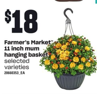 Zehrs Markets Farmer's market™ 11 inch mum hanging basket offer