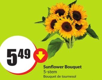 FreshCo Sunflower bouquet 5 - stem offer