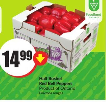 FreshCo Half bushel red bell peppers product of ontario offer