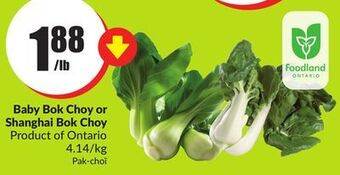FreshCo Baby bok choy or shanghai bok choy product of ontario 4.14/kg offer