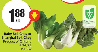 FreshCo Baby bok choy or shanghai bok choy offer