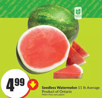 FreshCo Seedless watermelon offer