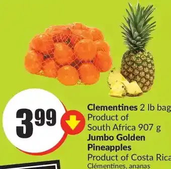 FreshCo Clementines | jumbo golden pineapples offer