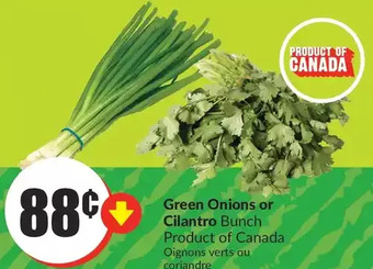FreshCo Green onions or cilantro offer
