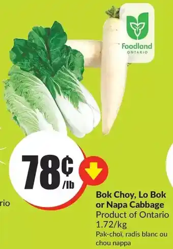 FreshCo Bok choy, lo bok or napa cabbage offer