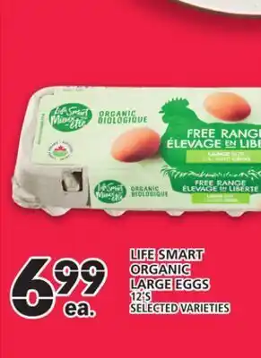 Food Basics Life smart organic large eggs offer