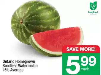 Highland Farms Seedless watermelon offer